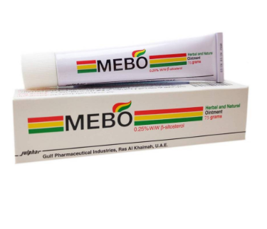Mebo Oint 15 Gm
